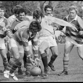 Rugby, BOP vs North Auckland