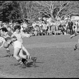 Rugby, BOP vs North Auckland