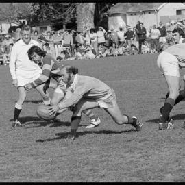Rugby, BOP vs North Auckland
