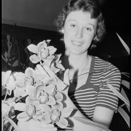 Bay of Plenty Orchid Society's display