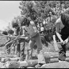 Grounds of new museum site