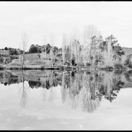 Wairoa River reflections