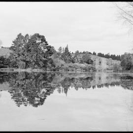 Wairoa River reflections