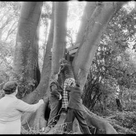 Gerald Crapp reserve