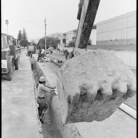 Replacement water works