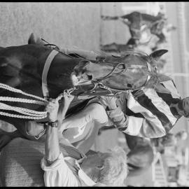 Racing Club's qualifying and barrier trials