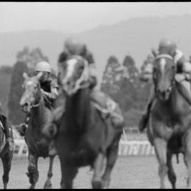 Racing Club's qualifying and barrier trials