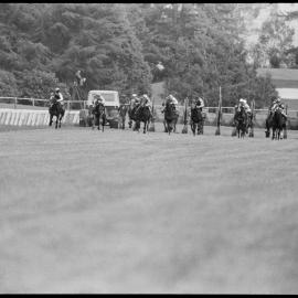 Racing Club's qualifying and barrier trials