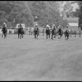 Racing Club's qualifying and barrier trials