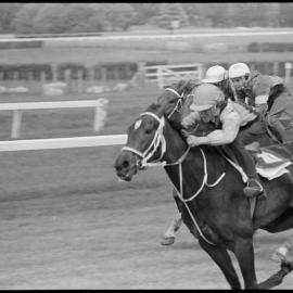 Racing Club's qualifying and barrier trials
