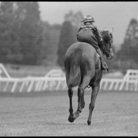 Racing Club's qualifying and barrier trials