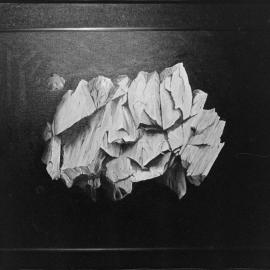 Art by W. Donk exhibited