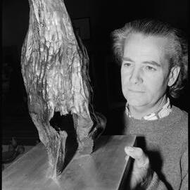 Te Puke art exhibition