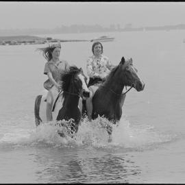 Horse riding at harbour