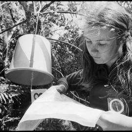 Orienteering competion