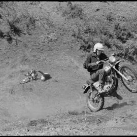 Ōtūmoetai Trail Bikes Club