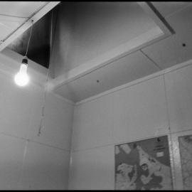 Katikati Flower Show