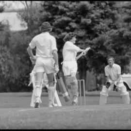 Tauranga - Te Puke Cricket