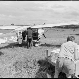 Athenree strawberries for export