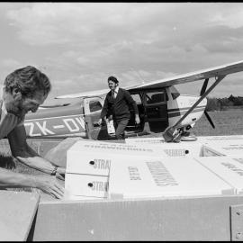 Athenree strawberries for export
