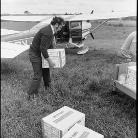 Athenree strawberries for export