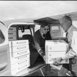 Athenree strawberries for export