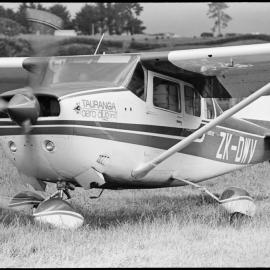 Athenree strawberries for export