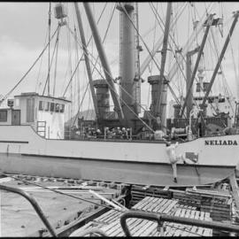 The Neliada shipped to New Guinea