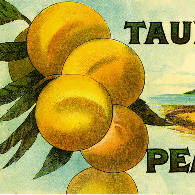 Hawkridge to Mayfield House