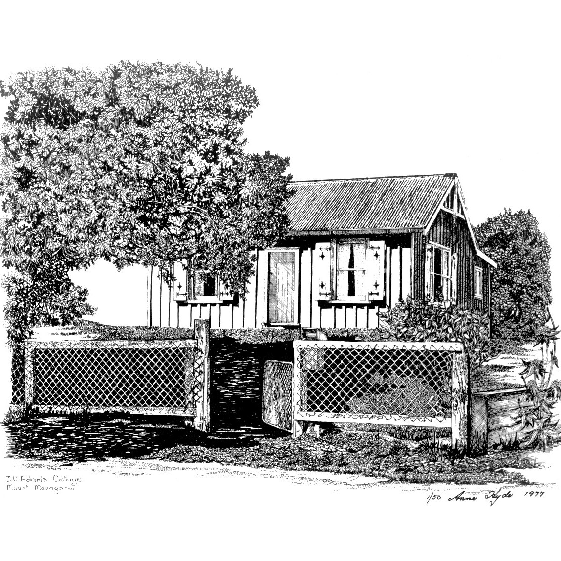 Adams Cottage, 1906- (Place)