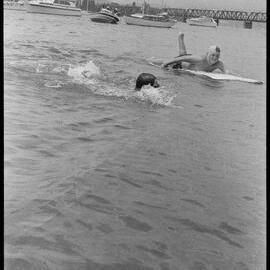 Tauranga Harbour swimathon