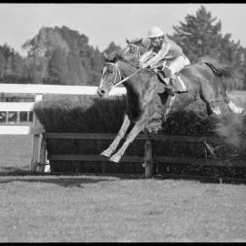 Cup day - Steeples winner