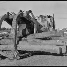 Lumberjack - accident scene