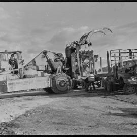 Lumberjack - accident scene