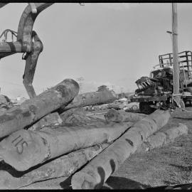 Lumberjack - accident scene