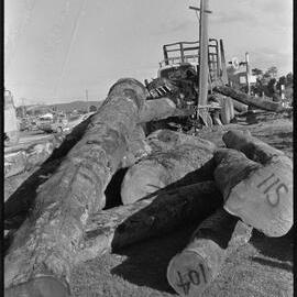 Logging truck - accident