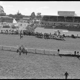Gala - Orange Festival, 1974