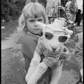 Animals' fancy dress parade