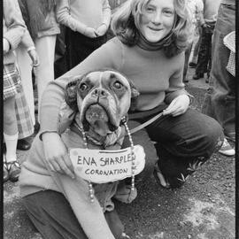 Animals' fancy dress parade