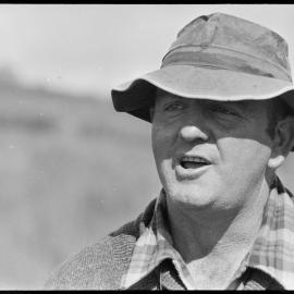 Unidentified man - cattle drive