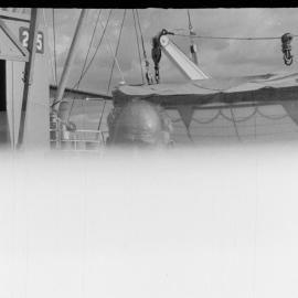 Obcurred photo - William Tuihalamaka