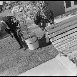 Bowling Pavilion opening day