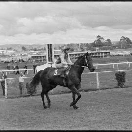 Oopik and Peter Johnson - Whakatāne Cup
