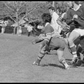 Rugby - Te Hurinui-Apanui Shield Competition