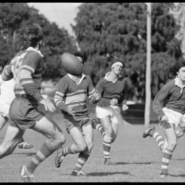 Rugby - Te Hurinui-Apanui Shield Competition