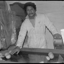 Fruit processing - Hita Mohetuki