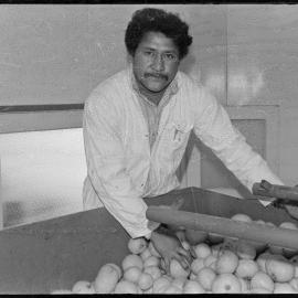 Fruit processing - Hita Mohetuki