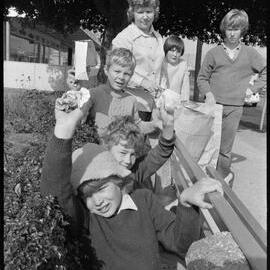 Big cleanup for Tauranga City