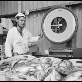 Trawlers bring in big hauls - G. A. Floyd 