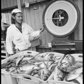 Trawlers bring in big hauls - G. A. Floyd 